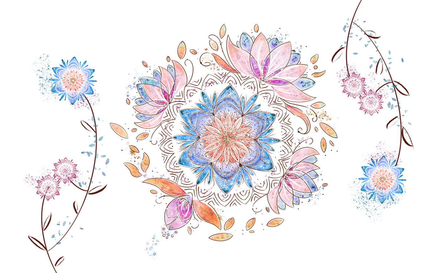 creation blog