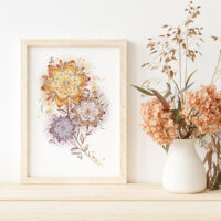 Fleurs séchées - Poster Fleurs séchées - Poster