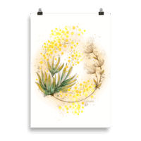 Mimosa - Poster