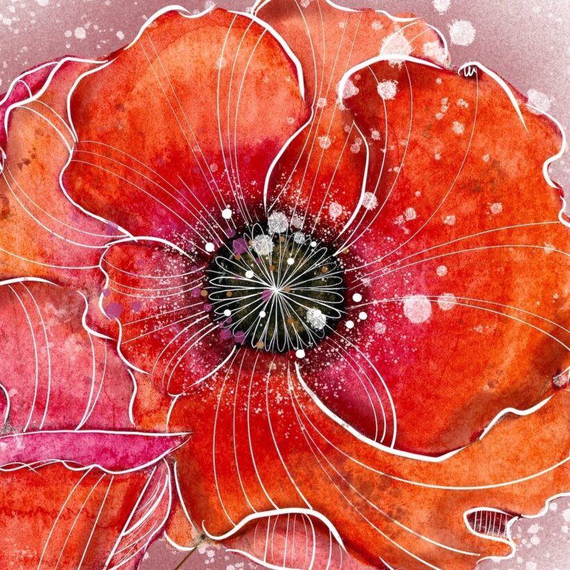 Coquelicot – Poster