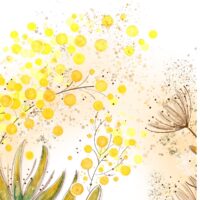 Mimosa – Poster
