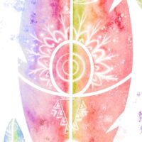 Plumes irisées – Poster