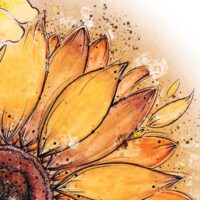 Tournesol - Poster - Zoom Tournesol – Poster