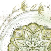 Mandala Nature - Poster - Zoom