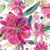 Camelia du Japon - Poster - Zoom Camelia du Japon - Poster - Zoom