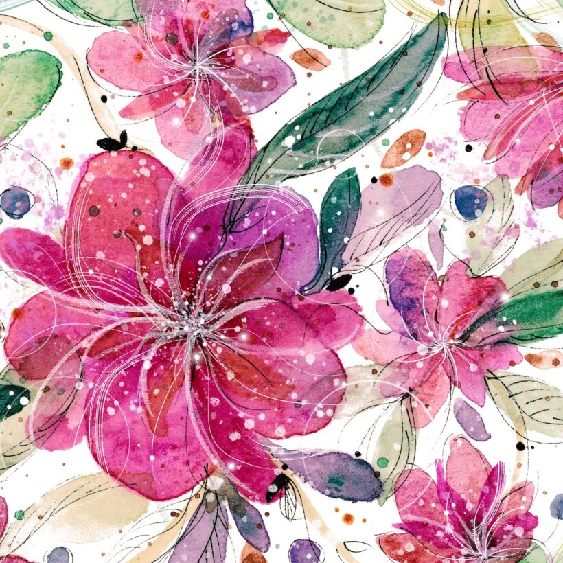 Camelia du Japon - Poster - Zoom Camelia du Japon - Poster - Zoom