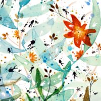 Récif - Poster - Zoom