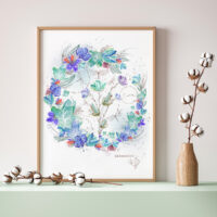libellules - poster