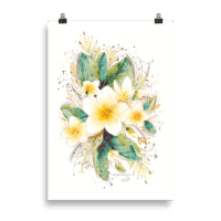 Fleur de Frangipanier - Poster