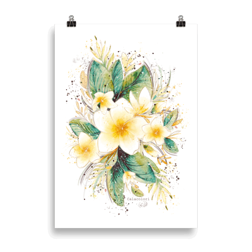 Fleur de Frangipanier - Poster