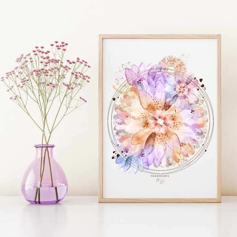 Gerbera - Poster Gerbera - Poster