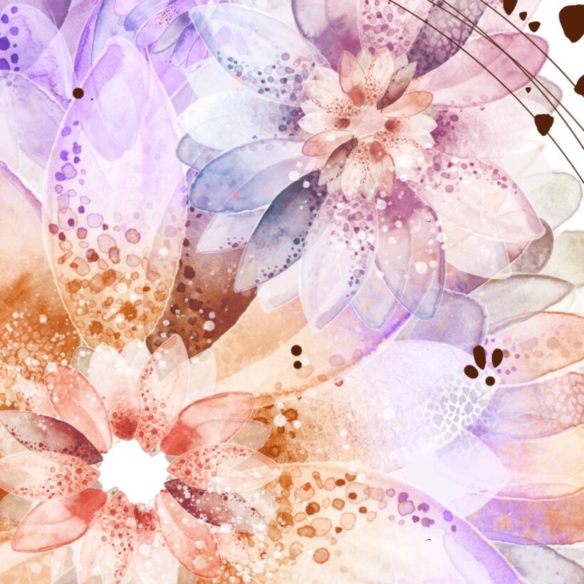 Gerbera - Poster - Zoom Gerbera - Poster - Zoom