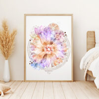 Gerbera - Poster Gerbera - Poster