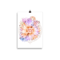 Gerbera - Poster