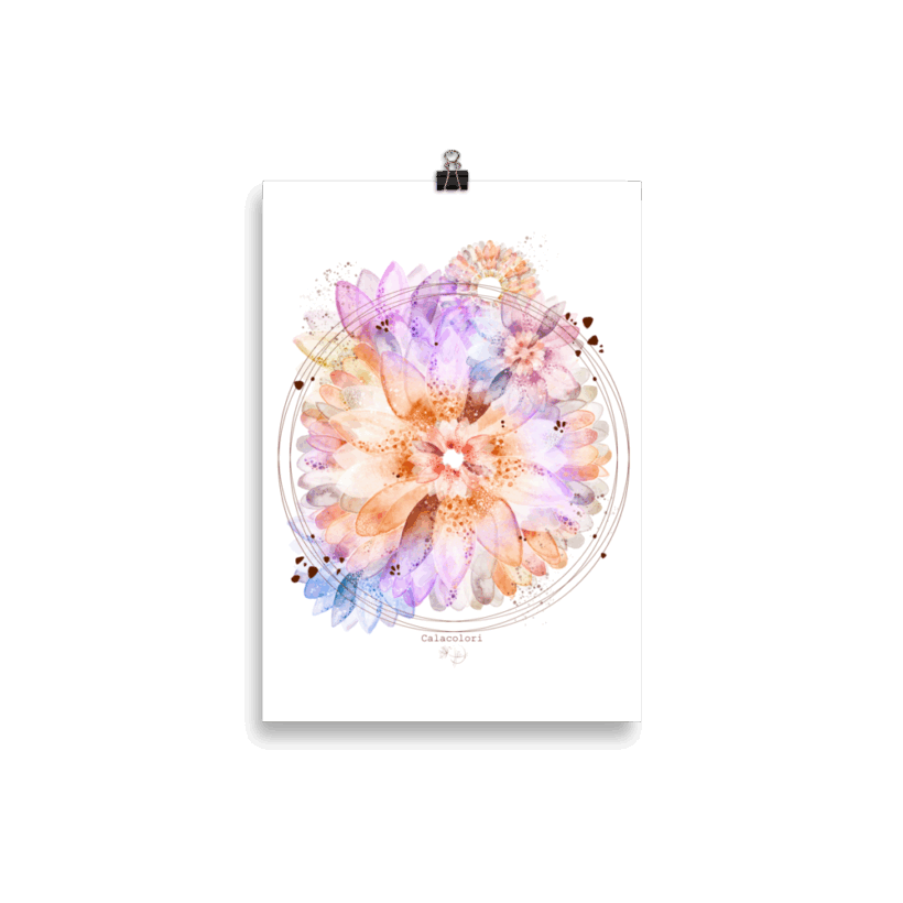 Gerbera - Poster