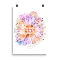 Gerbera - Poster Gerbera - Poster