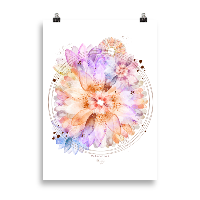 Gerbera - Poster Gerbera - Poster