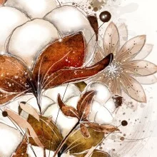 Fleur de Coton - poster